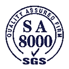 SA 8000 Logo
